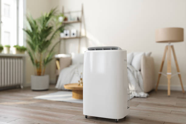 Best Affordable Air Conditioning Repair  in Danville, IA